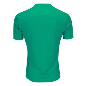 Camisa Palmeiras Treino 25/26 - Verde